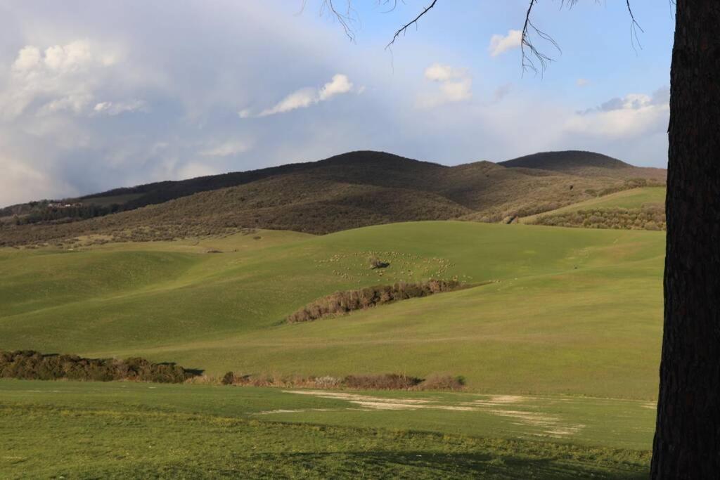 Antiche Fonti Apartman Bibbona Kültér fotó